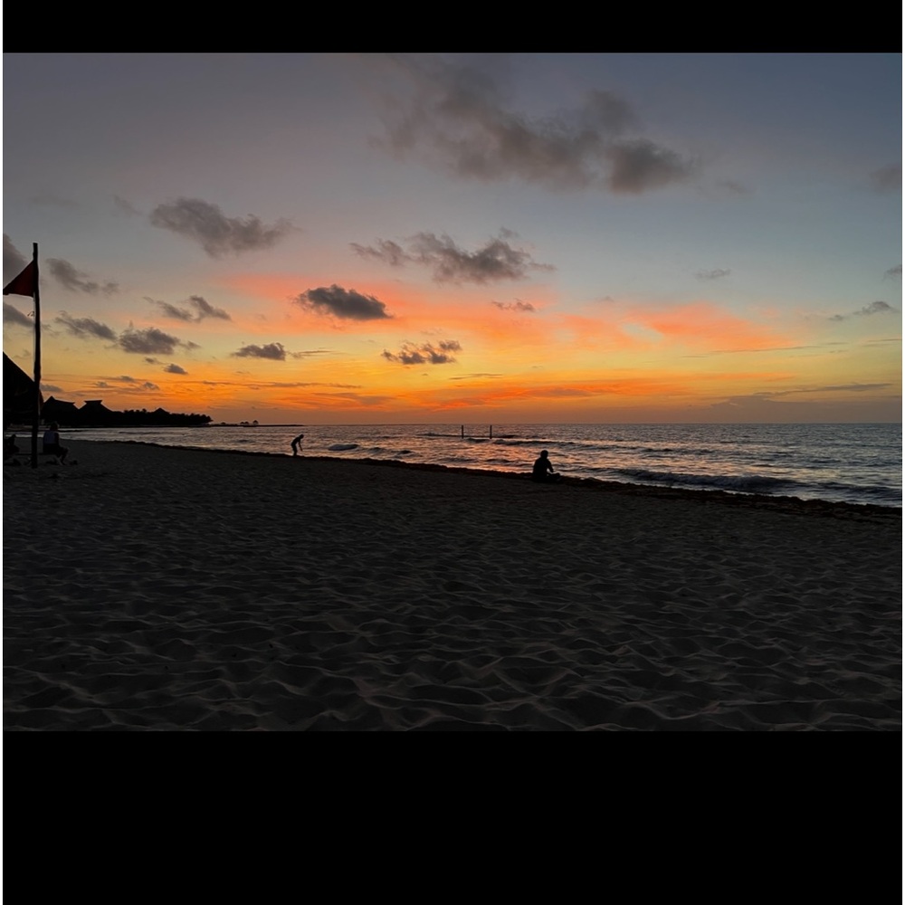 Meet your Posher, Mackenzie